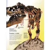 Атлас динозаврів 