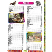Енциклопедія про тварин. Дивовижні факти (синя обкладинка) 