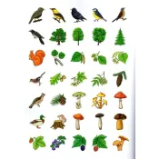 Лісові тварини та рослини. Енциклопедія з наліпками 