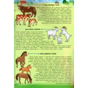 Свійські тварини. Енциклопедія з наліпками 