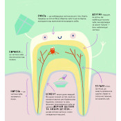 Книжка про зуби 