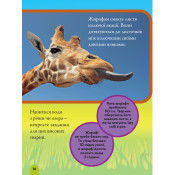 Моя перша енциклопедія. Тварини (National Geographic Kids) 