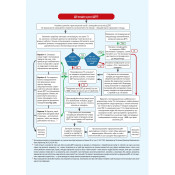 ПДР України 2024 з коментарями та ілюстраціями 