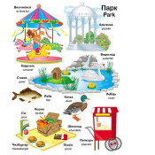 Перші слова малюка + англійська (Пегас) 