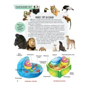 Тварини. Дитяча ілюстрована енциклопедія 
