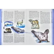 Велика енциклопедія тварин 
