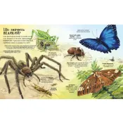 Велика книга комах і не тільки 