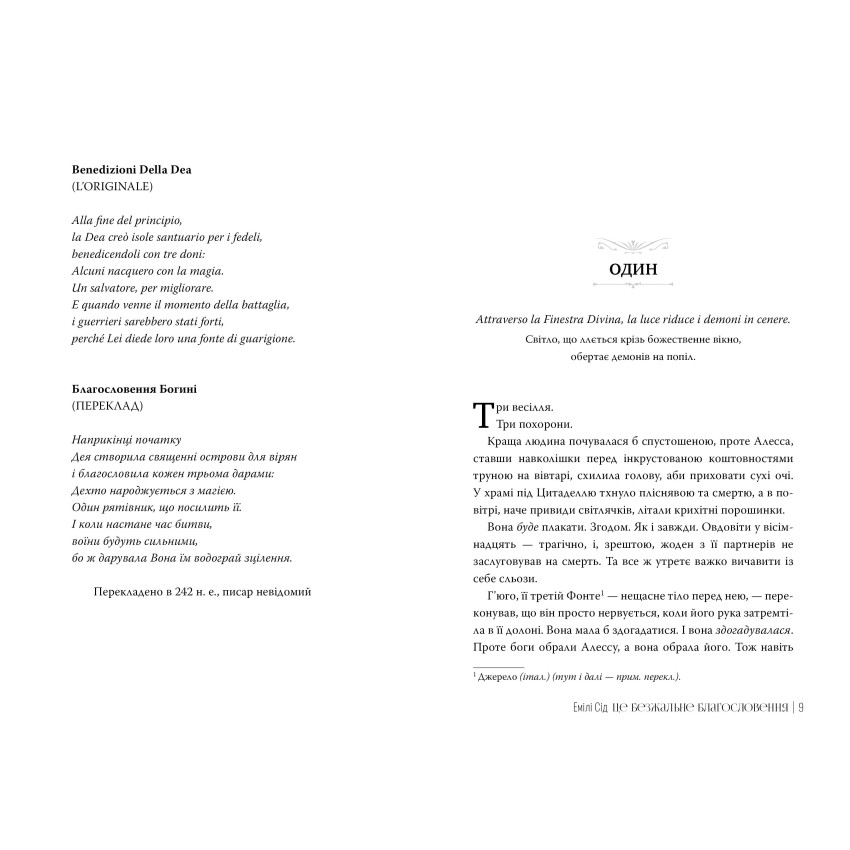 Остання Фінестра. Книга 1. Це безжальне благословення