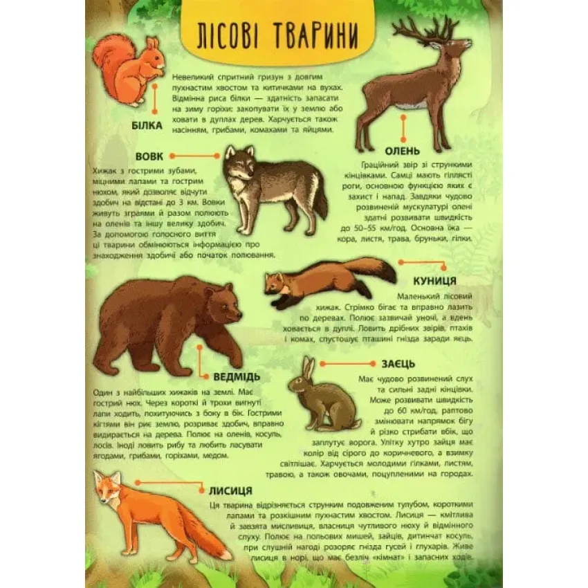 Лісові тварини та рослини. Енциклопедія з наліпками