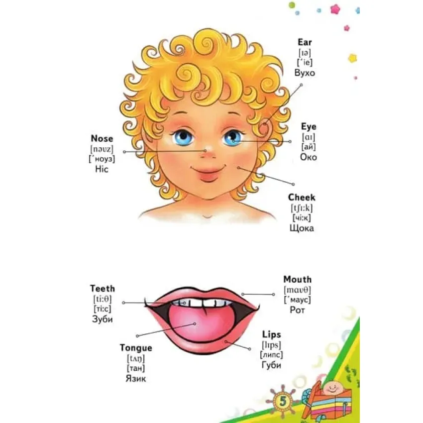 Словник у малюнках для малюків. English (35 тем)
