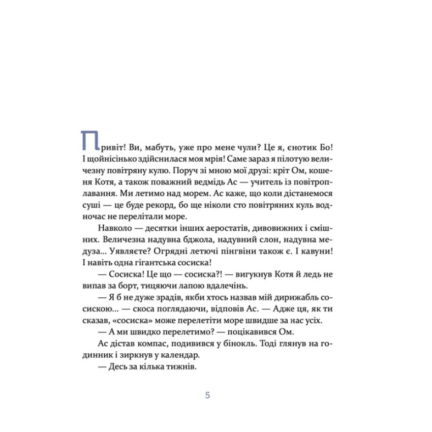 Єнотик Бо і дивний-дивний сніг. Книга 2