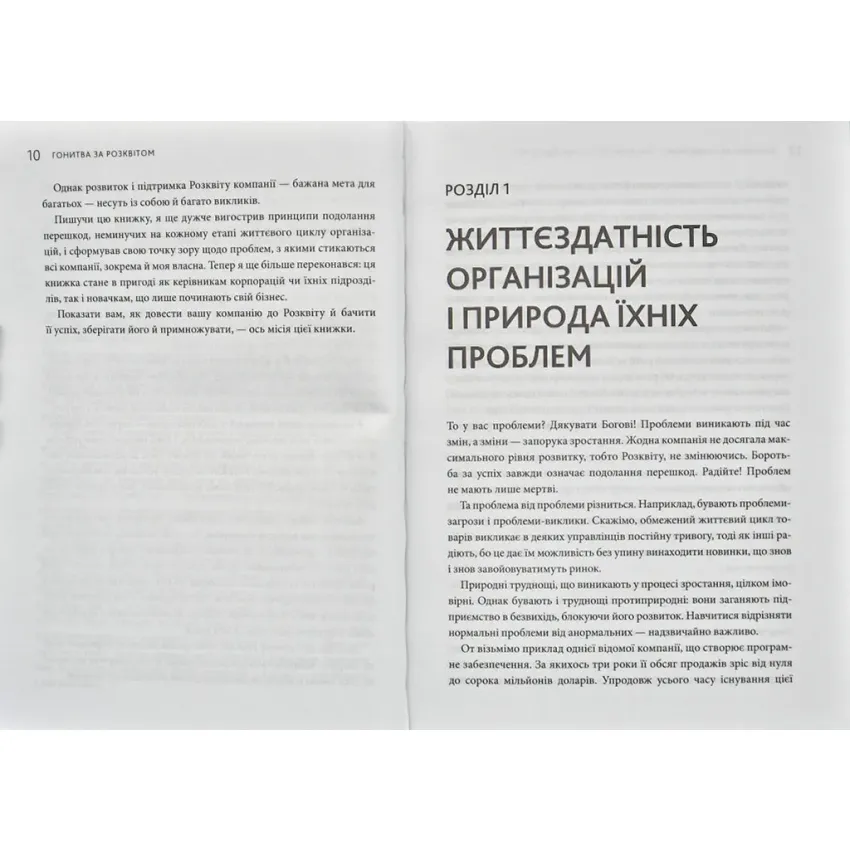 Гонитва за Розквітом. Максимізуйте успіх компанії за методологією Адізеса