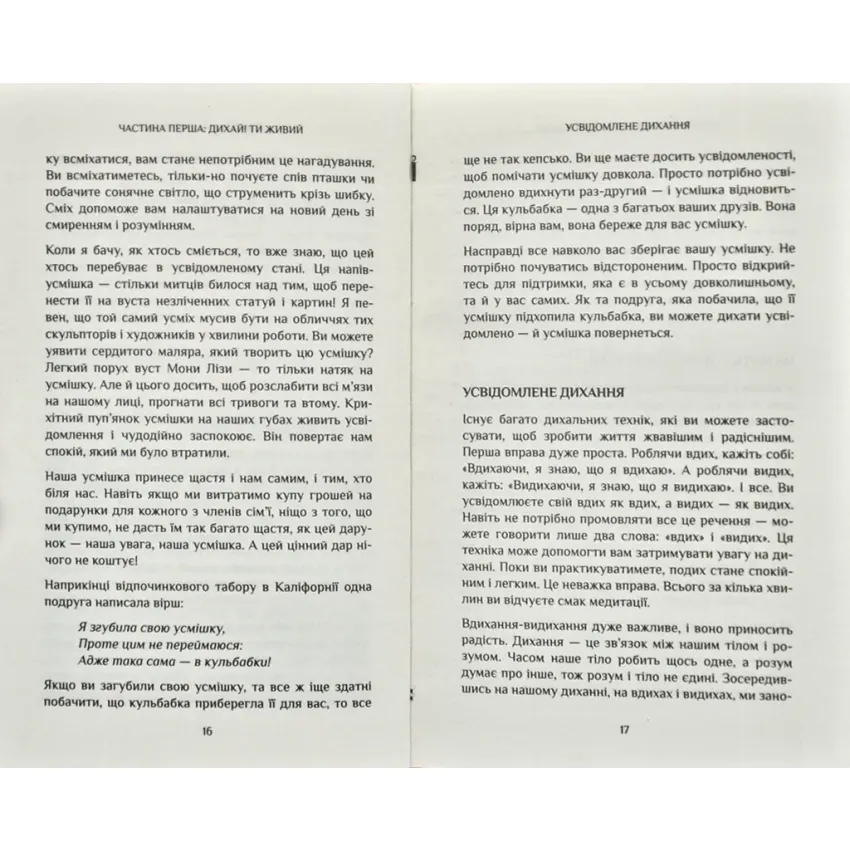 Спокій у кожному кроці. Шлях усвідомлення в повсякденному житті