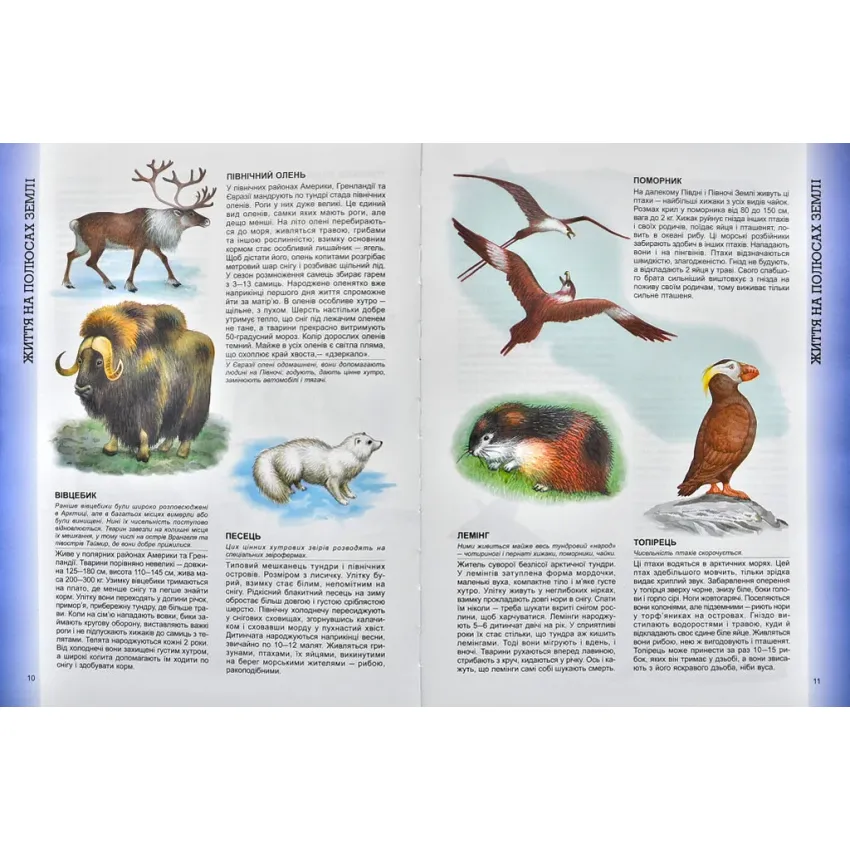 Велика енциклопедія тварин